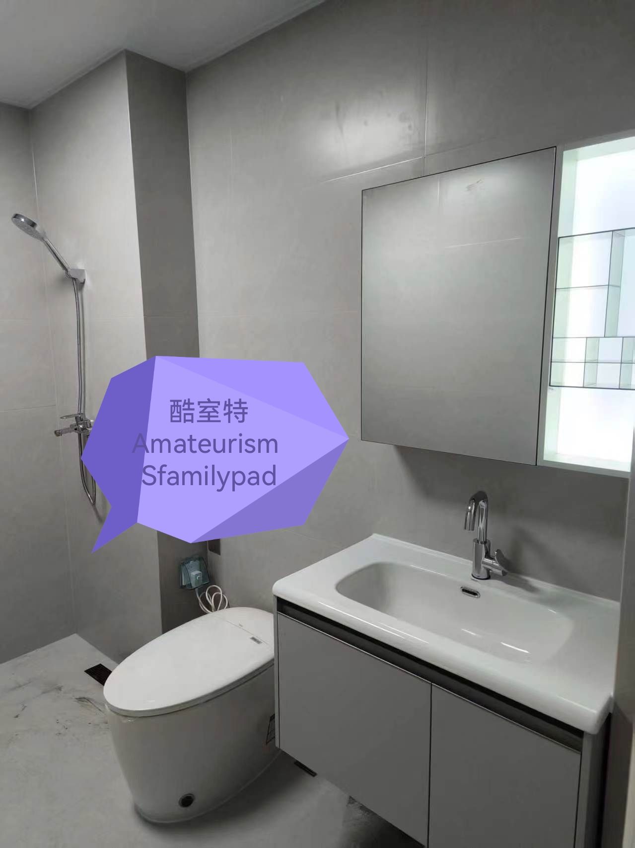 延安酷室特智能坐便器